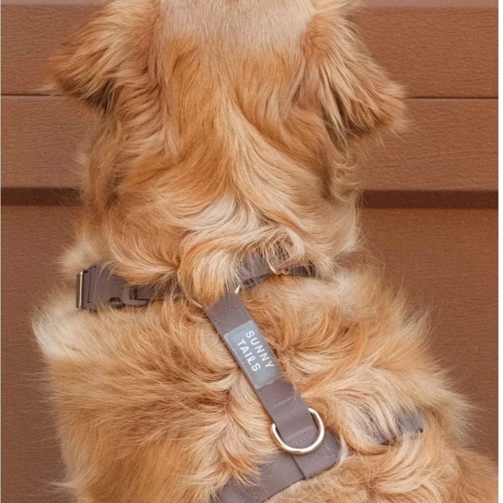 Sunny Tails Dog Harness + Leash Bundle Espresso Brown, Like New